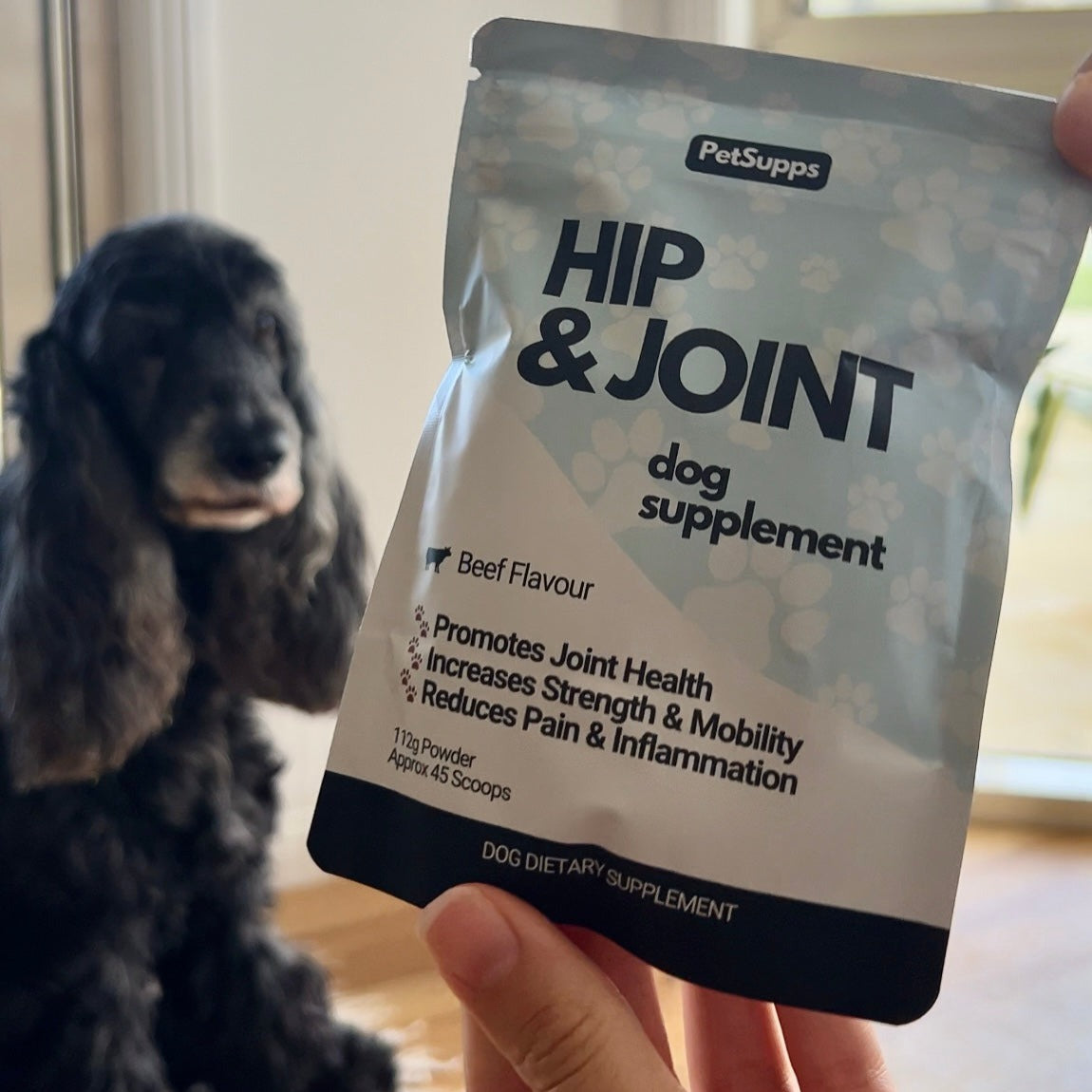 Hip & Joint Supplement